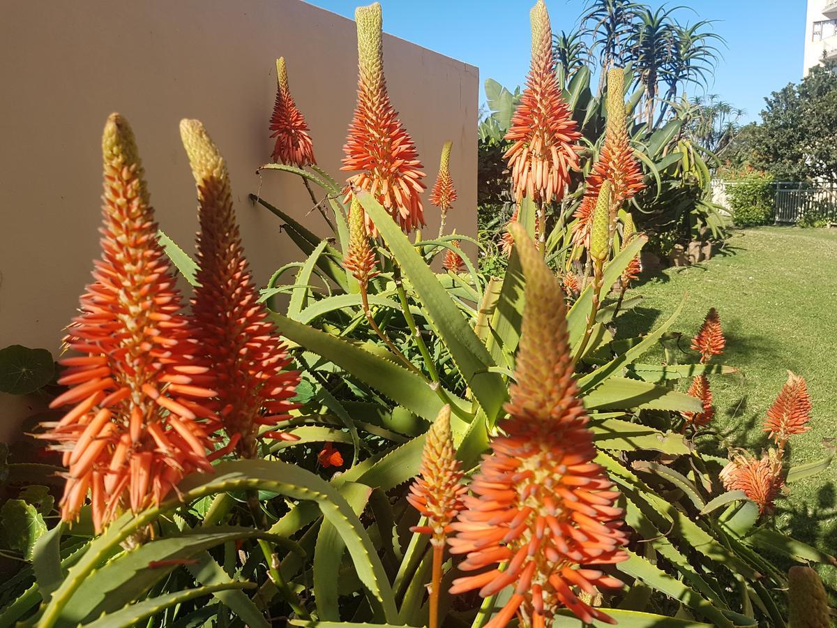 Umdloti Beach Apartment Exterior photo